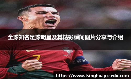 全球知名足球明星及其精彩瞬间图片分享与介绍